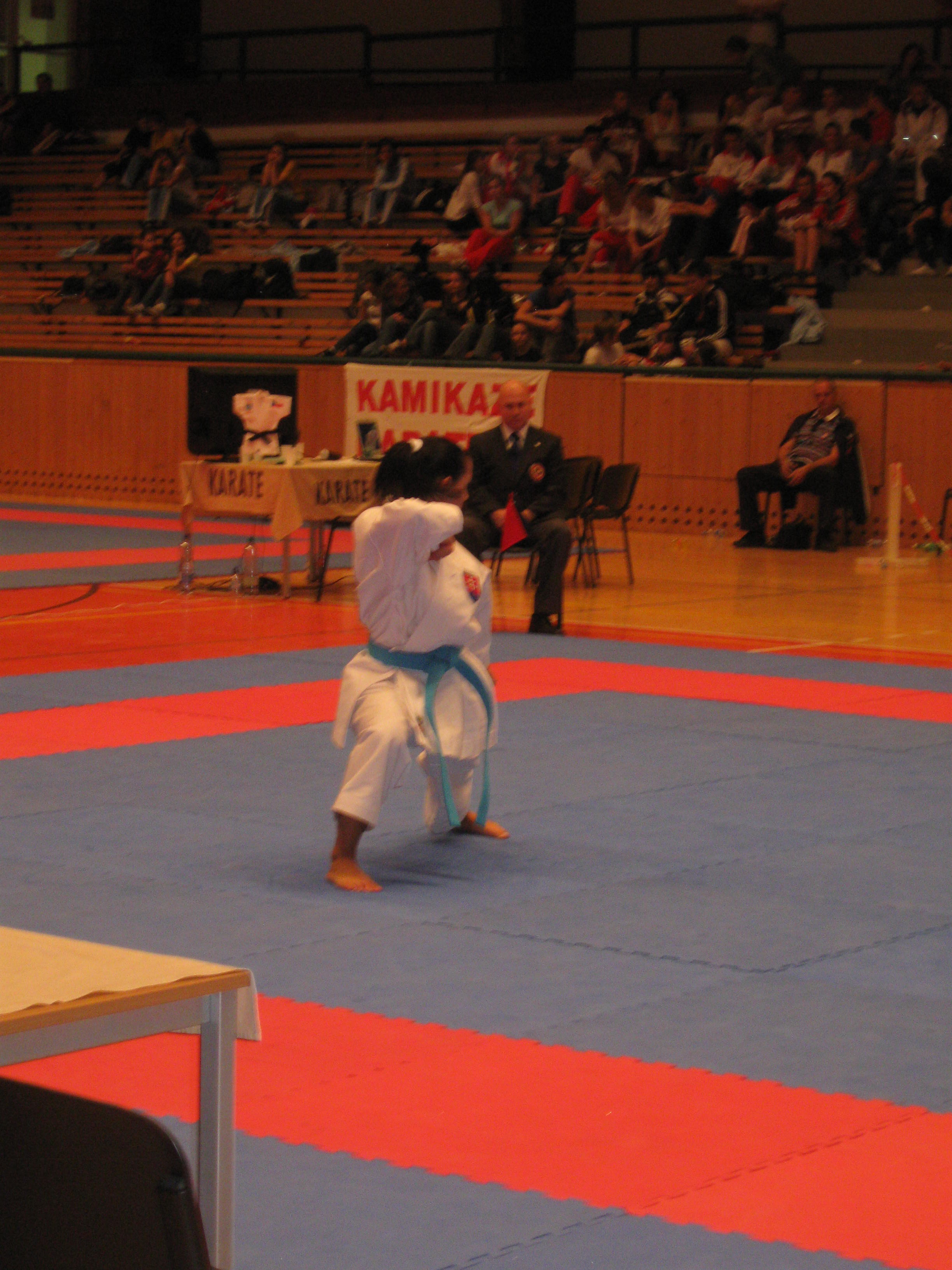 IMG_1145.jpg